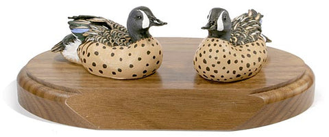Blue-winged Teals on a Base