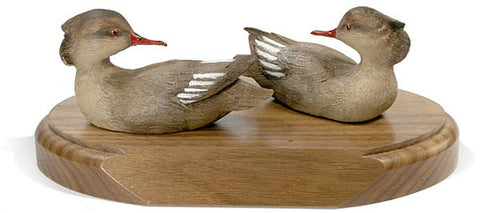 Female Red-breasted Mergansers on a Base
