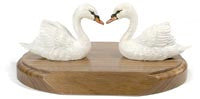Mute Swans with base