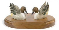 Northern Pintails with Opened Wings on a Base