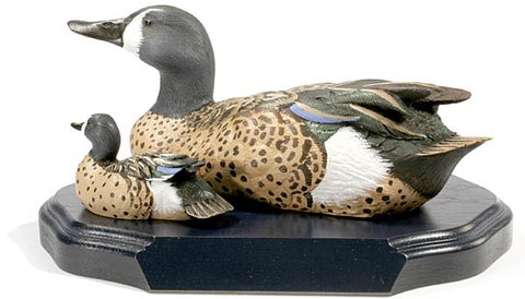 Blue-winged Teal Drakes on a Base