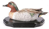 Green-winged Teal Drake on a Base