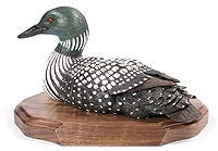 Straight Head Common Loon Duck on a Base