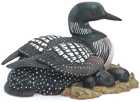 Common Loon Duck and Nest