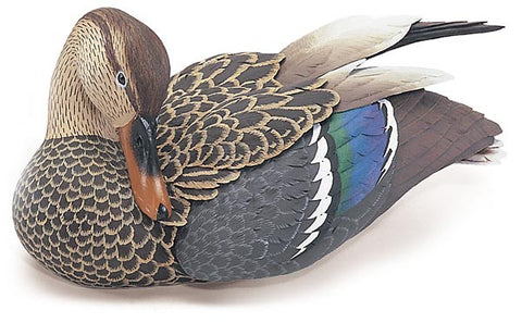 Mallard Duck with Lowered Head