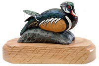 Wood Duck on a Rock and a Base