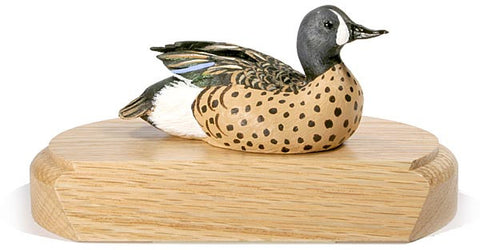 Blue-winged Teal on a Base