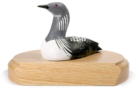 Arctic Loon Duck on a Base