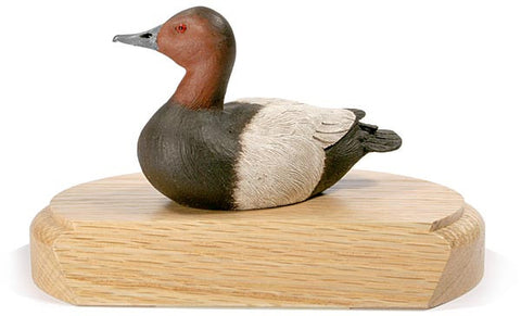 Canvasback on a Base