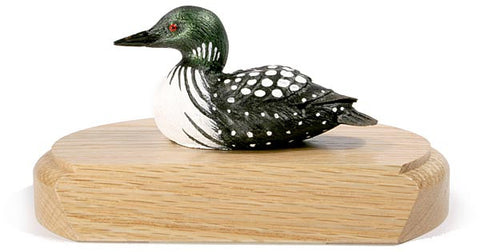 Female Common Loon Duck on a Base