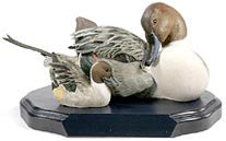 Northern Pintail Drake and Duckling on a base