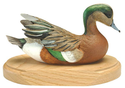 American Wigeon on a Base