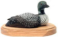 Tilted Head Common Loon Duck on a Base