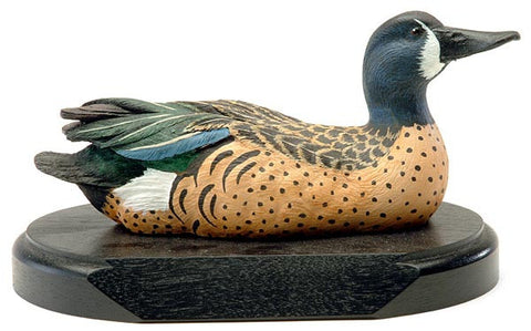Blue-winged Teal with Pulled Up Head on a Base