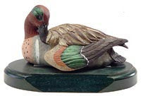 Tilted Head Green-winged Teal Drake on a Base
