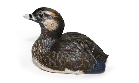 Pied-Billed Grebe duck sculpture 1